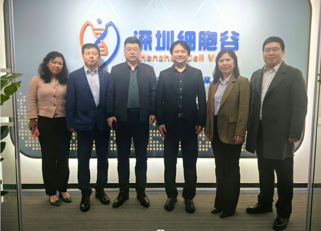 河南科技大學(xué)第二附屬醫(yī)院院長(zhǎng)邢建武、副院長(zhǎng)王慧睿一行蒞臨深圳細(xì)胞谷交流訪問(wèn)