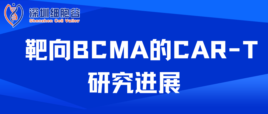 靶向BCMA的CAR-T研究進展