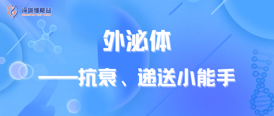 外泌體——抗衰、遞送小能手