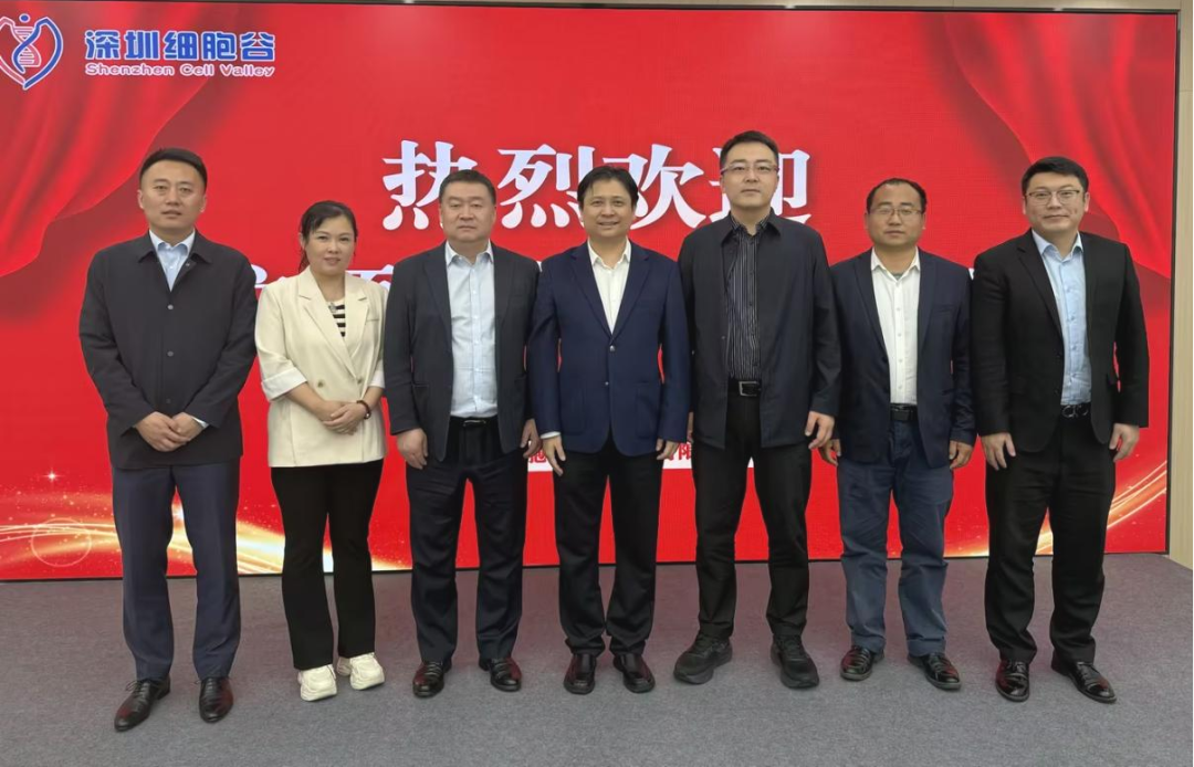 大連市金普新區(qū)領(lǐng)導(dǎo)一行蒞臨深圳細(xì)胞谷調(diào)研考察
