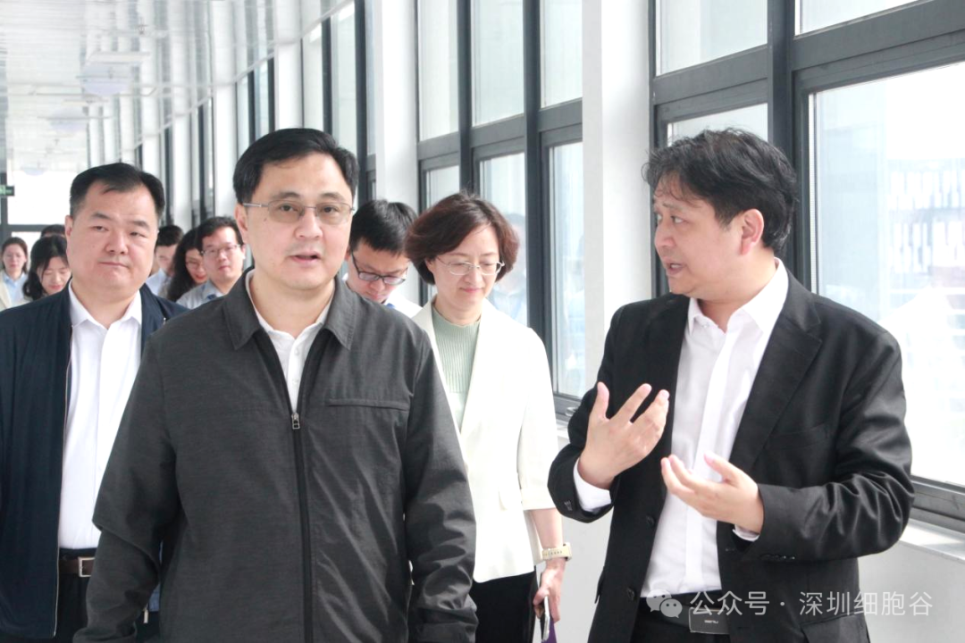 深圳市科創(chuàng)局張林局長(zhǎng)一行調(diào)研深圳細(xì)胞谷